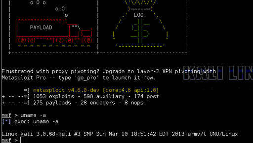 Security Forensic pentesting RaspberryPI